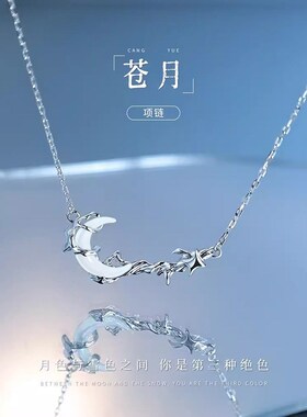 纯银苍月亮项链女生轻奢小众设计高级感锁骨链新款生日礼物送女友