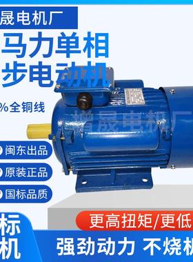大马力单相异步电动机YC100L-42.2W双电容闽东单相电机