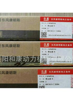 供应康明斯6BT喷油器 喷油嘴 C4948364 6CT喷油咀