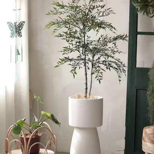 创意高植脚花盆客厅商欧场服装店落地大花器北绿物宝莲灯种无品牌