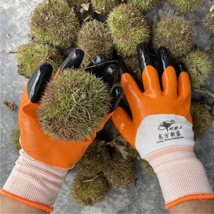 9P1加339板厚捡栗手套劳保耐磨防刺防水胶工地干活E灵活摘花椒丁