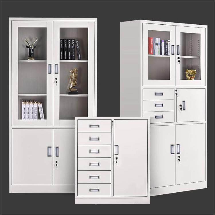 钢制办公文室件柜皮案柜资料柜ASDGZXCV矮柜凭证柜带锁储铁物柜档