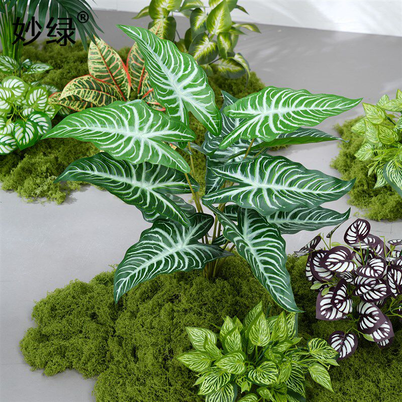 仿真绿植造景假苔藓植物装饰仿生C花摆放室内玄关阳台微景观草布图片