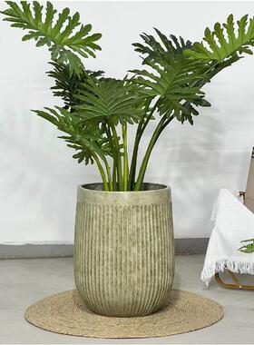 极条简竖纹高款地大泥镁泥花盆种植落盆FR20水百合竹绿植盆栽家居