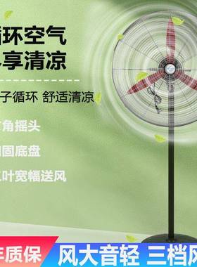 大功率豪华工20774业风扇落地扇力墙壁挂式家大强型风量工用厂牛