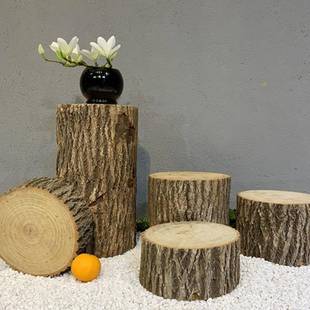 木带树n585皮田园t墩ia然树桩花架实木根雕香樟木原木摆件圆形