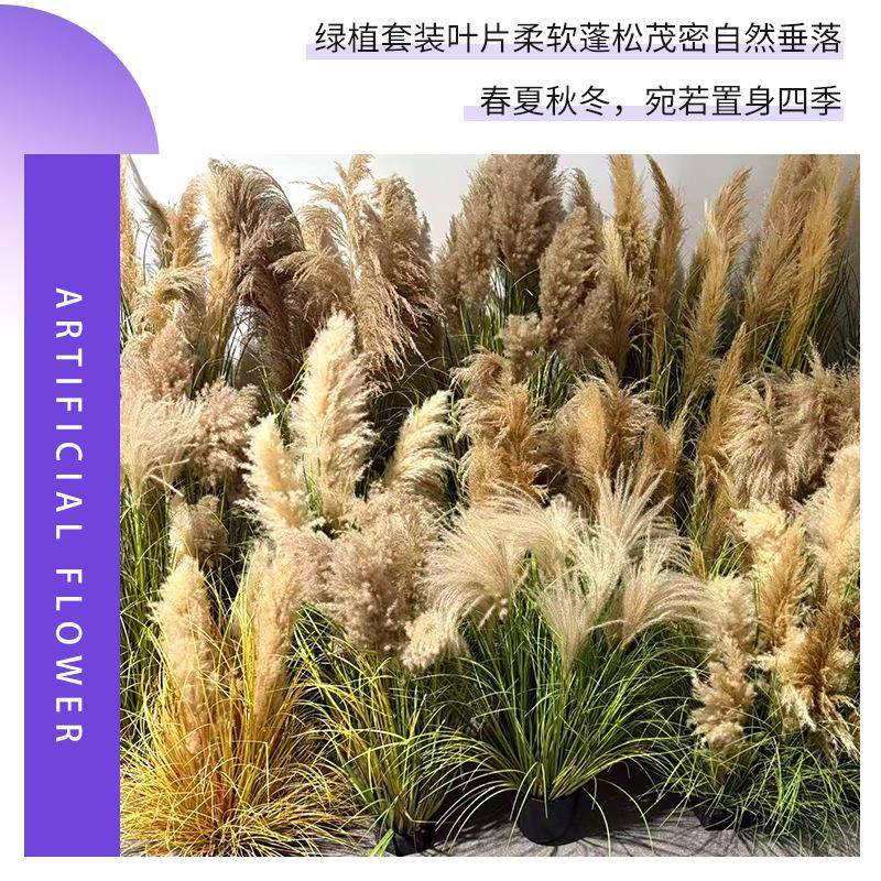 仿真蒲盆栽婚苇庆网红室内件摆道具装家居装07饰品仿真狗尾草造景