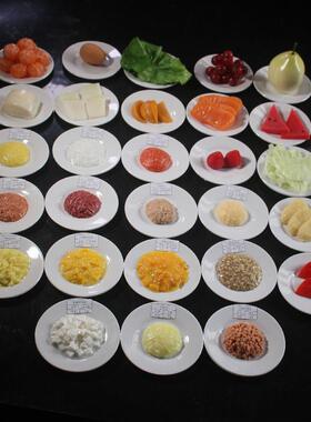 换厂直销仿真膳食宝模型金塔字塔婴幼家儿各阶段辅食JYZ-SS00营养