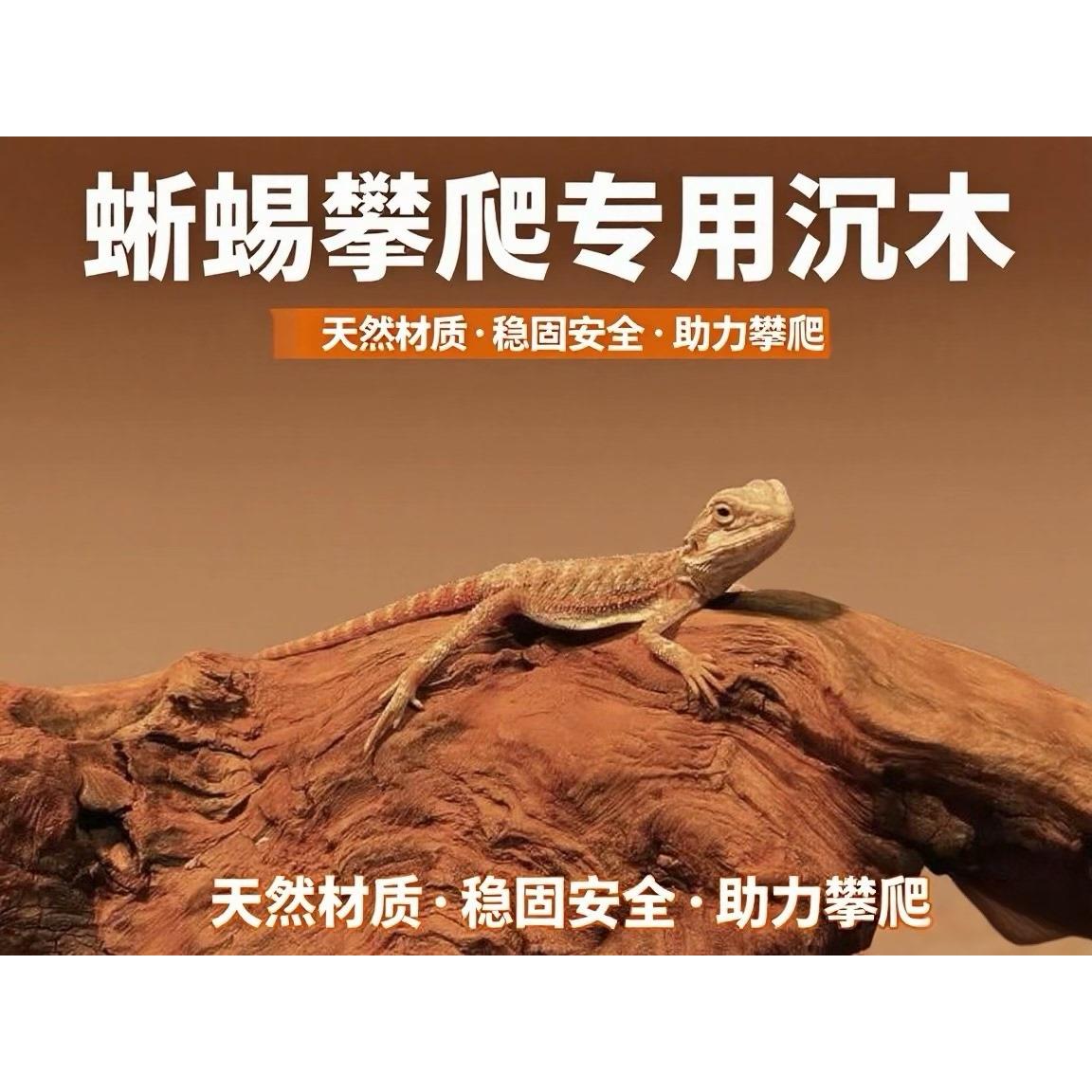 鱼缸沉木造景鬃狮蜥蜴攀爬木晒台沙漠缸 天然枯木守宫寄居蟹躲避