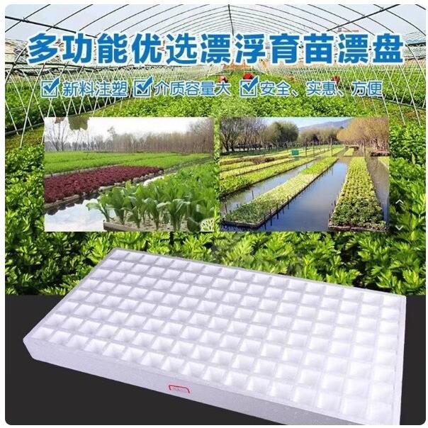 漂浮泡沫板水上种植泡沫育苗盘穴盘秧盘水培盘育苗盘白色泡沫盘