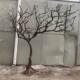 干树枝造景干枝树干许愿树枯树室内庭院造型树枝干原木树枝装 饰树