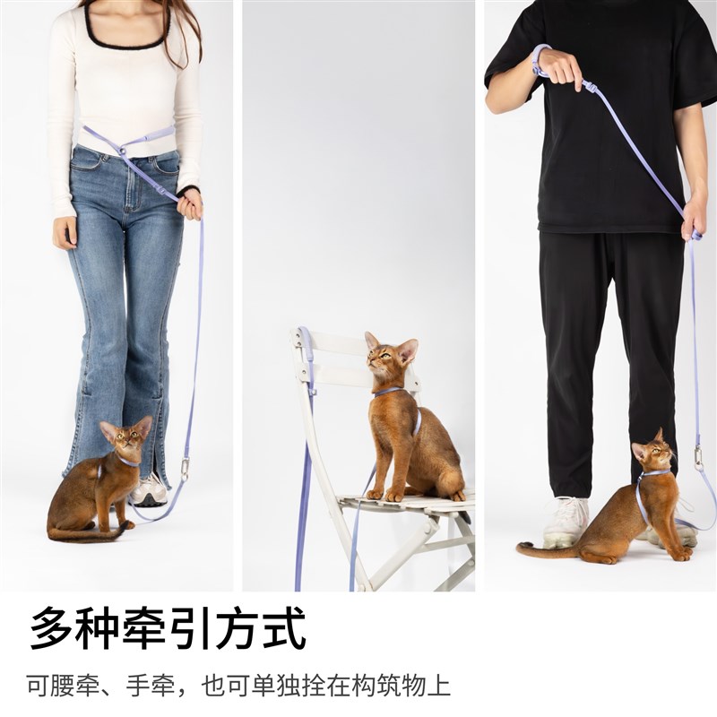 BuddyArmor宠物超轻牵引绳手腰牵外出遛猫绳可调节多功能牵引狗链