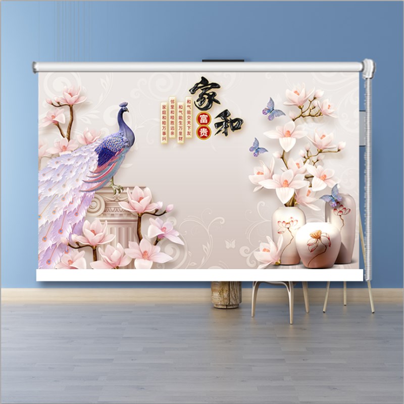 定3D视觉平面印制孔雀卷帘窗帘隔热遮阳防水升降免打孔拉珠卫生间