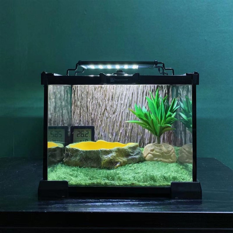 角蛙爬宠爬虫莫斯地毯树皮造景干湿分离养蛙玻璃饲养缸套装