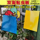 黄板双面粘虫板诱虫蓝板灭小飞虫 沾阳台花卉蓟马小黑虫果蝇粘板