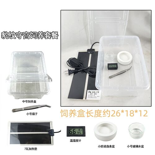 豹纹守宫一体式全套宠物玩具蛇饲养盒睫角捕鸟蛛蜘蛛饲养箱大号