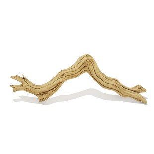 霸王藤木爬宠缸造景树木蛇睫角守宫树枝树蛙鬃狮饲养箱攀爬木藤条