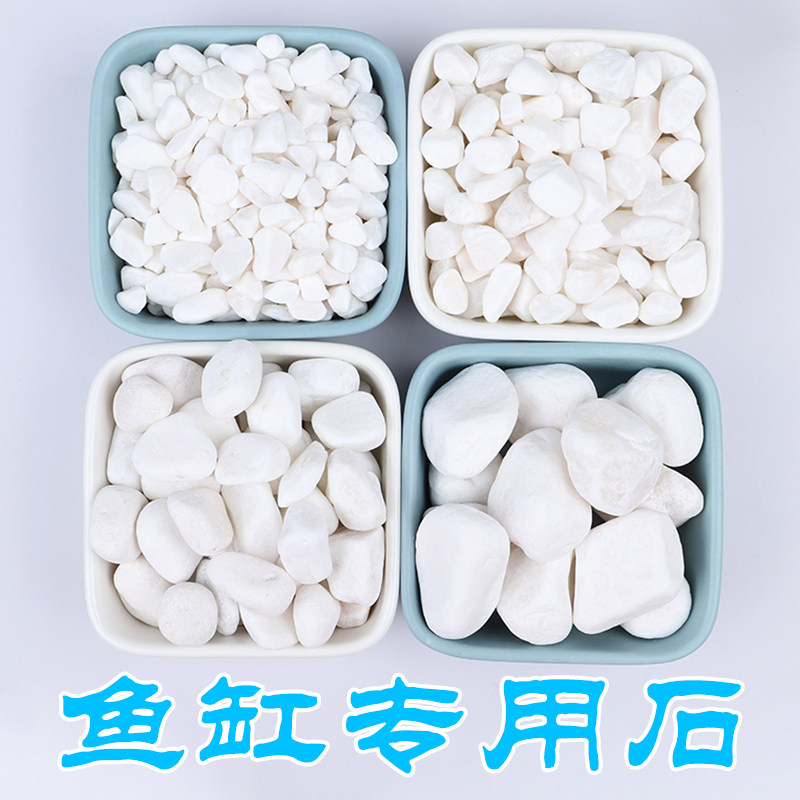 鱼缸石头子铺底鱼缸专用石造景石头底砂鱼缸白色鹅卵石鱼池小石子图片
