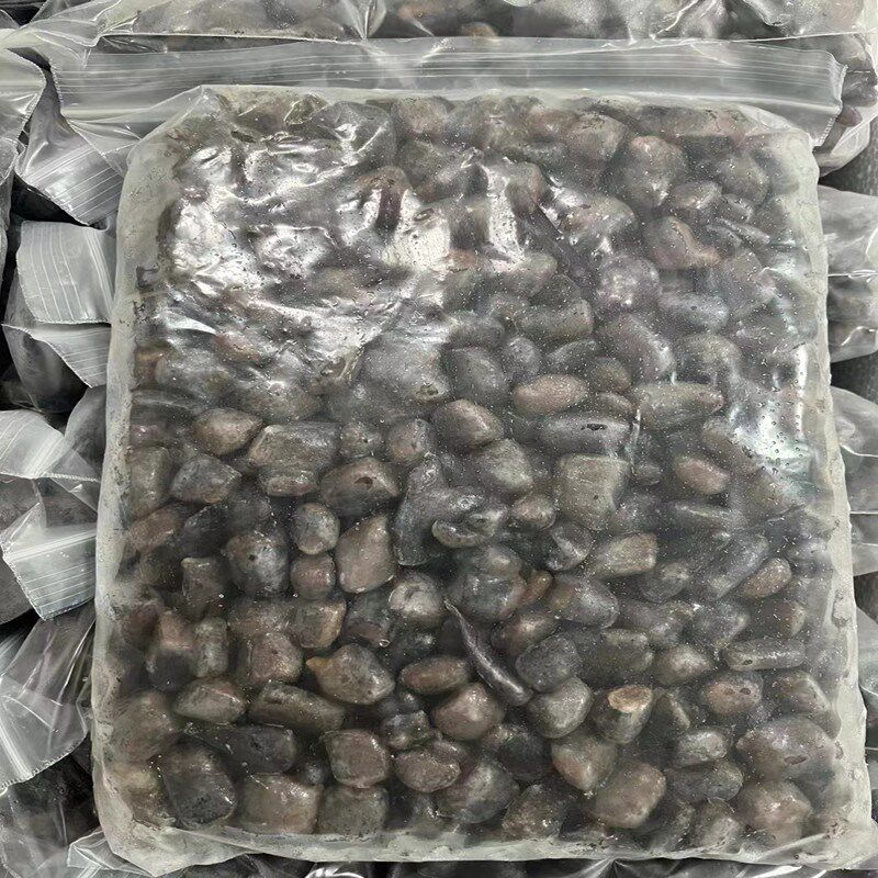 包邮冷冻泥鳅麦穗单冻增色观赏鱼观赏鱼饲料