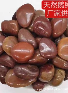 1吨红色LTH鹅卵石雨花石大小石头台庭院天景观装饰阳铺路鱼然缸造