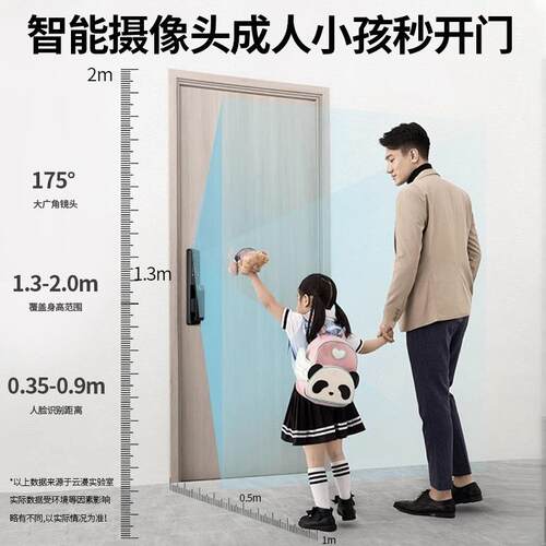 入户门锁密码锁视动人脸可识别电子全自指云漫xiao纹锁家用防盗门