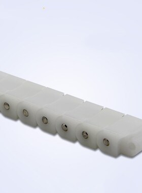 塑料链条工程链气浮机传动链塑胶RS2040P60P双排防静电龙骨传输链