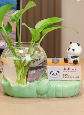 治愈系水养绿萝干花装饰品摆件儿童房间布置客厅插花桌面创意摆设