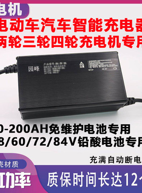大功率60伏48V15A安充电器免维护电池72v100ah电瓶动三四轮车干水