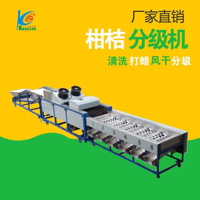 柑桔分级机 水果打蜡清洗 厂家直销 水果分选机,清洗/食品/商业设备,果蔬加工设备,淘宝优惠券,粉丝福利购,淘宝优惠卷
