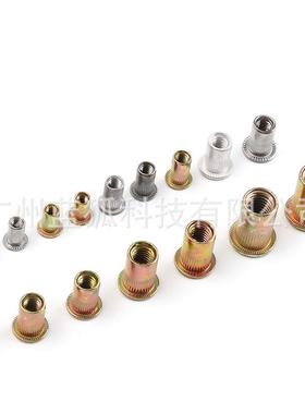 900pcs铆直螺母套装不锈钢/镀彩锌/钢铝拉铆581竖纹螺母组合厂家