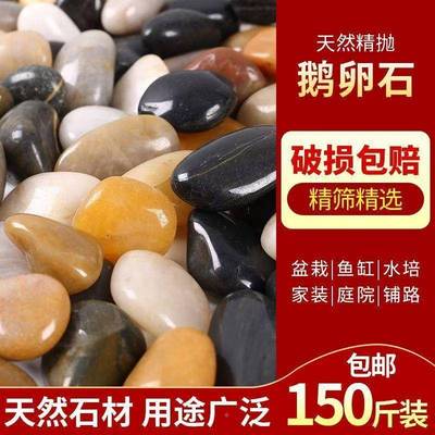 卵50斤五色鹅石小石铺路庭院铺阳台鱼缸天然原石雨花彩头石造811