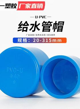PVC帽给水堵头堵帽塞头闷管头20254320管506HZQ390110等整箱