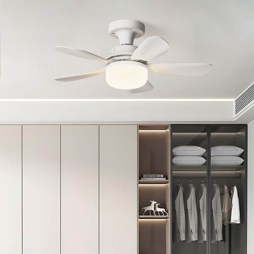 2025新款E27螺口风灯扇卧室书房餐一厅房吸顶led灯泡体吊700厨扇