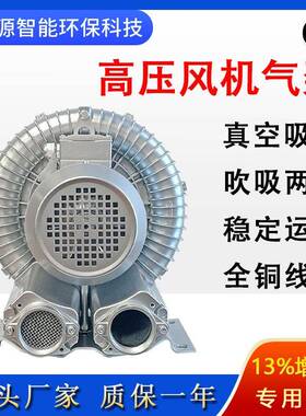 2V102JM430H泵16高压旋涡风机440V46电0V480涡轮气特殊压鼓风机