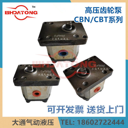 CBN-F310 G310 CBN-E310扁键轴 进出口螺纹4分3分 CBW-F310-CLB