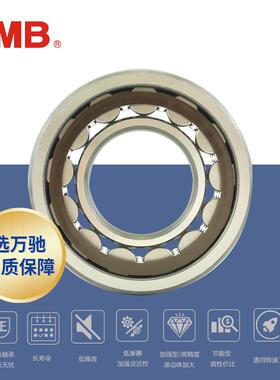 TMB/天马轴承NU2213ECP高精度圆柱滚子轴承ET/-E-TVP2 旗舰品质