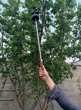 WHZ-402五参数手持微型气象站温度湿度大气压力风速风向仪