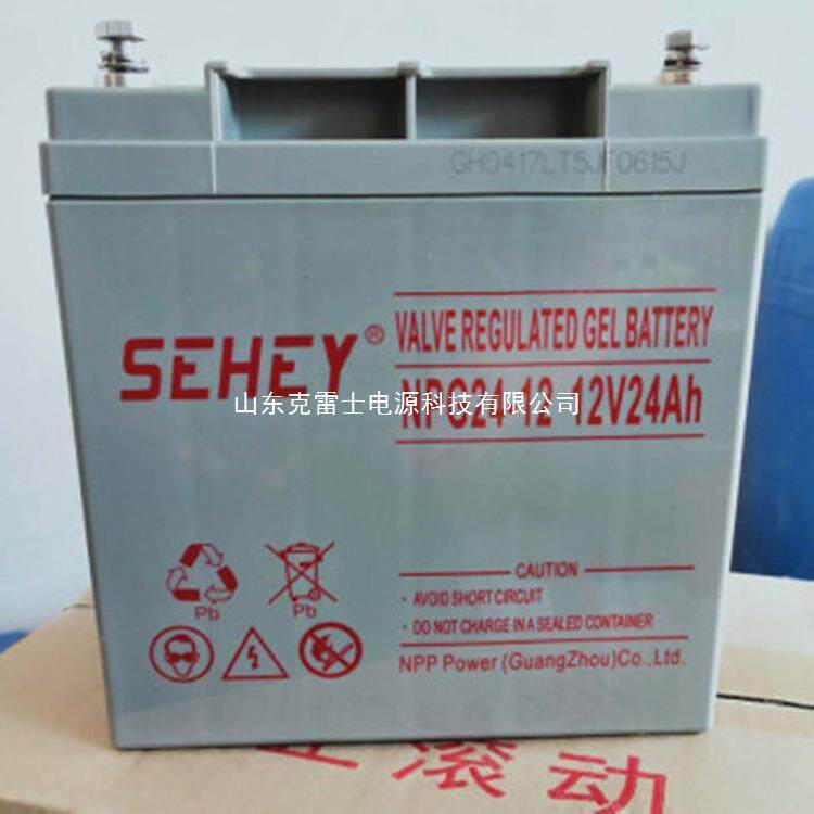 SEHEY西力蓄电池NPG24-12免维护12V24Ah胶体电池仪器仪表电池