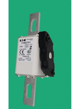 170M3737170M3738170M3739170M3740170M3741BUSSMANN熔断器