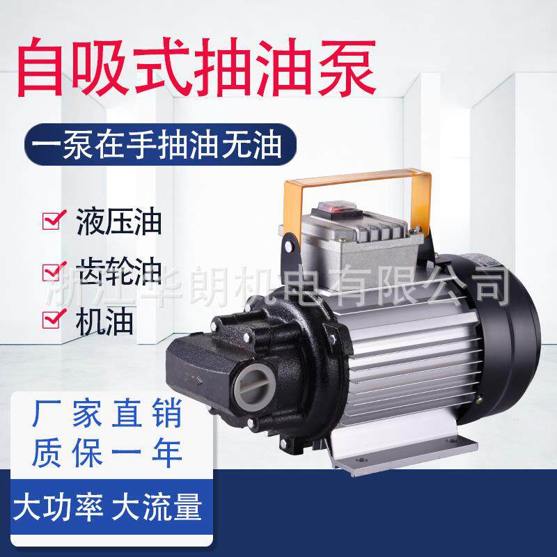 韩朗机油齿轮泵微型铝合金电动交流抽油泵厂家批发液压泵家用铜线