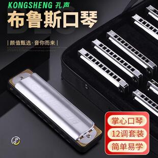 孔声十孔布鲁斯口琴12调套装10孔蓝调口琴成人初学者专业演奏乐器