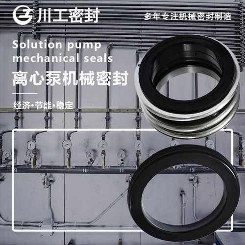 水下动密封公司 IS100-65-315\M032 139G/SB021 染色机机械密封
