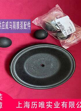 Versa-Matic威马气动隔膜泵E4AA1R119-B隔膜泵配件库存充足