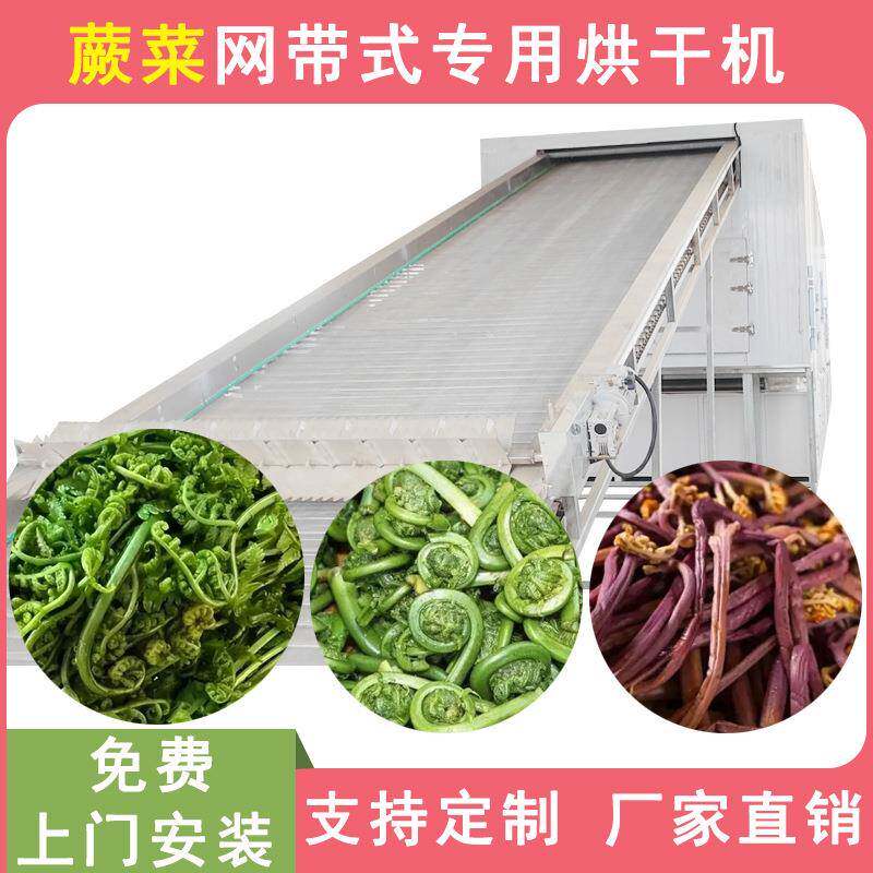 网带蕨根烘干机大型拳头菜蕨菜根烘干流水线山野菜脱水烘干设备