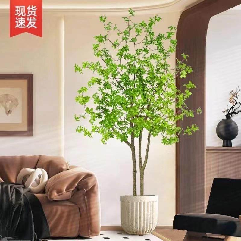 吊钟树仿真绿植假植物马醉木室内大型盆栽客厅装饰落地摆件仿真花,纺织面料/辅料/配套,纺织机械配件,淘宝优惠券,粉丝福利购,淘宝优惠卷