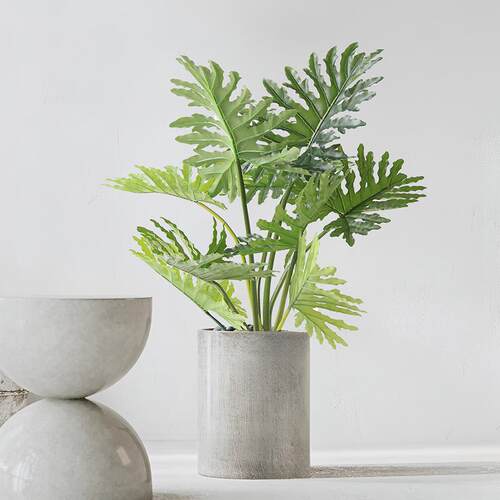 PU过胶手感春羽仿真绿植客厅装饰假植物盆栽北欧家居网红植物盆景