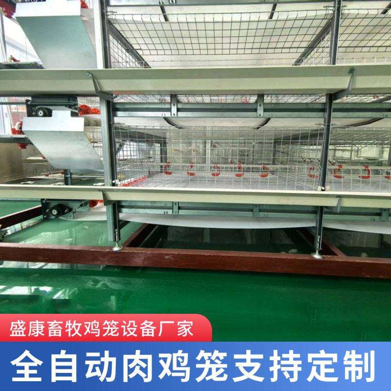 肉鸡笼镀锌自动H型立式框架式育雏笼鸡笼养鸡笼子养设备全自动