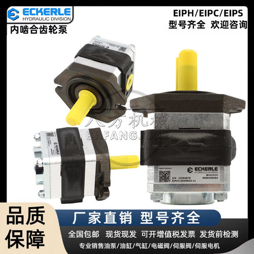 ECKERLE艾可勒液压齿轮泵EIPC6-125RA23-11注塑机/械油压机专用