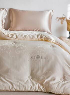 高奢纤桑蚕大豆维被芯家用双TD-08290人秋春被子欧式提丝花加厚保