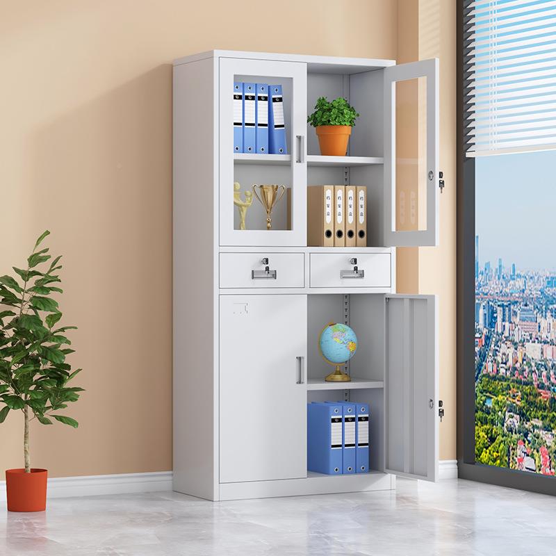 钢中二斗文件柜铁皮书柜文件柜案办公室纳柜凭证档资收料带锁储物